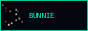 Bunnie Studios